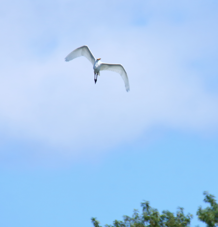 2014 09 07 HTP 85547